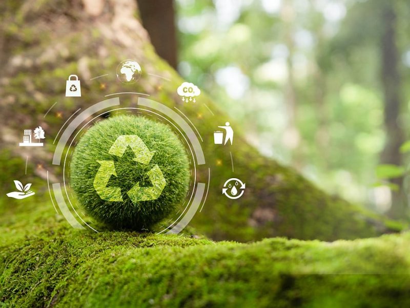 AdobeStock 560337867 1024x683