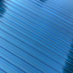 shutterstock 1566692413