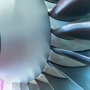 shutterstock 2033157065